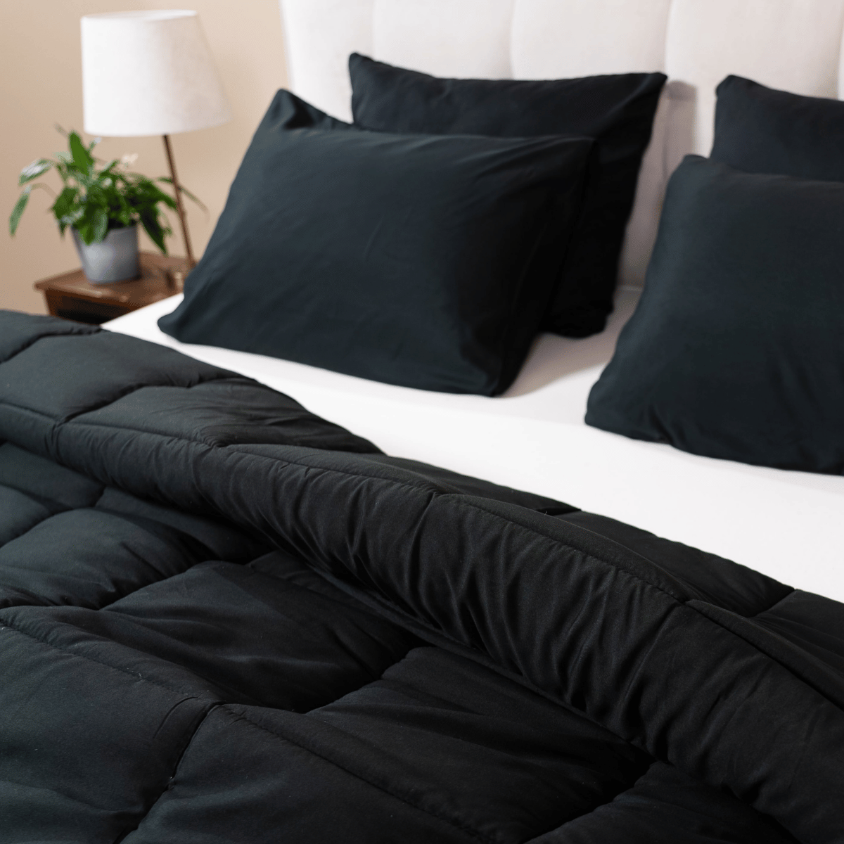 Zelesta Comfort Uni Pillowcase Set Of 2 - Black, additional product view 3