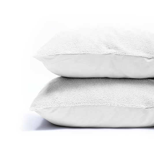 Zelesta Teddy Pillowcase Set Of 2 - White, product view 2