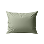 Zelesta Deluxe Percale Cotton Pillowcase Set Of 2 - Olive Green, main product photo