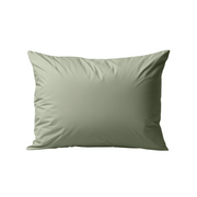 Zelesta Deluxe Percale Cotton Pillowcase Set Of 2 - Olive Green image