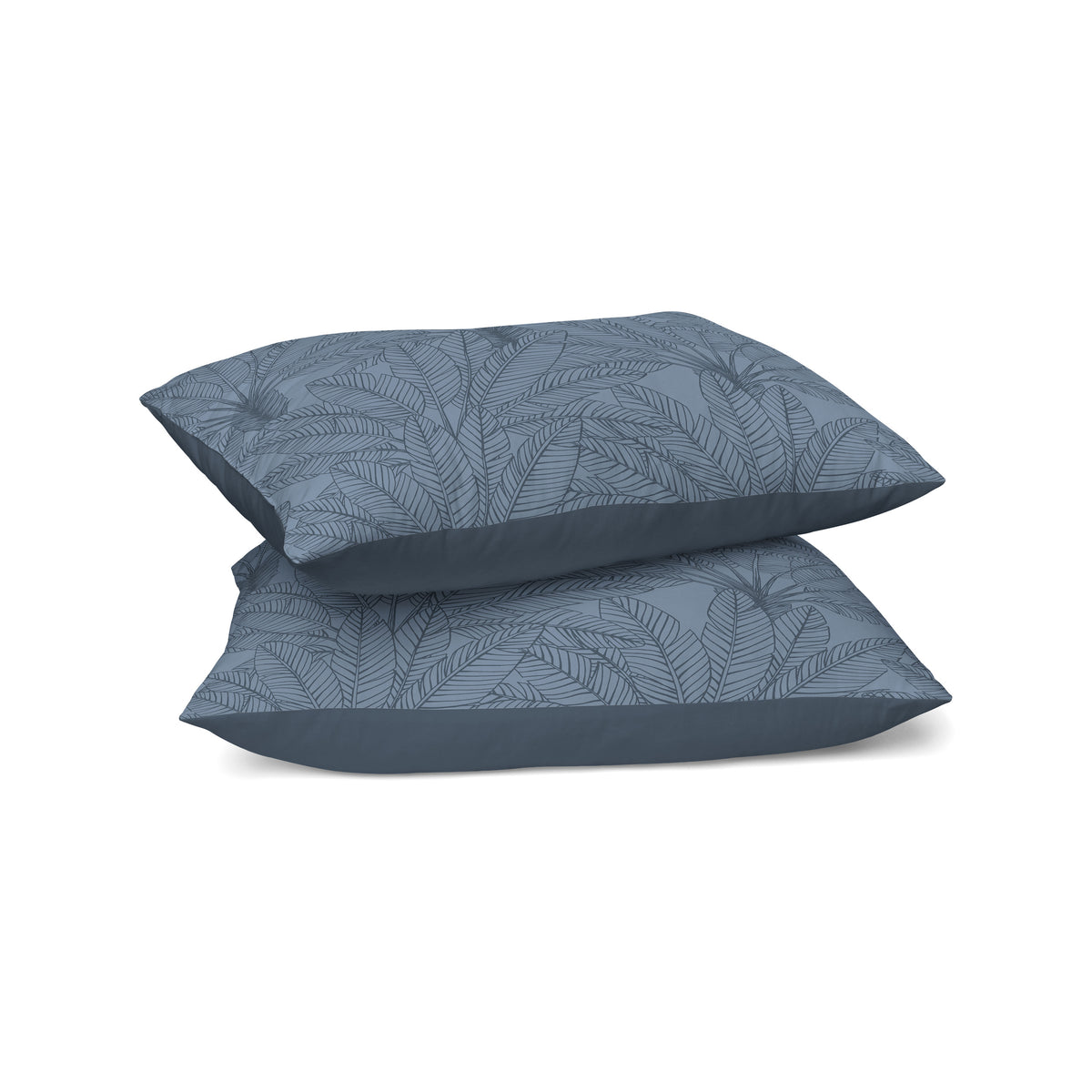 Taie d'Oreiller Zelesta Comfort Design Sans Coutures Lot de 2 - Botanical Line Art Blue