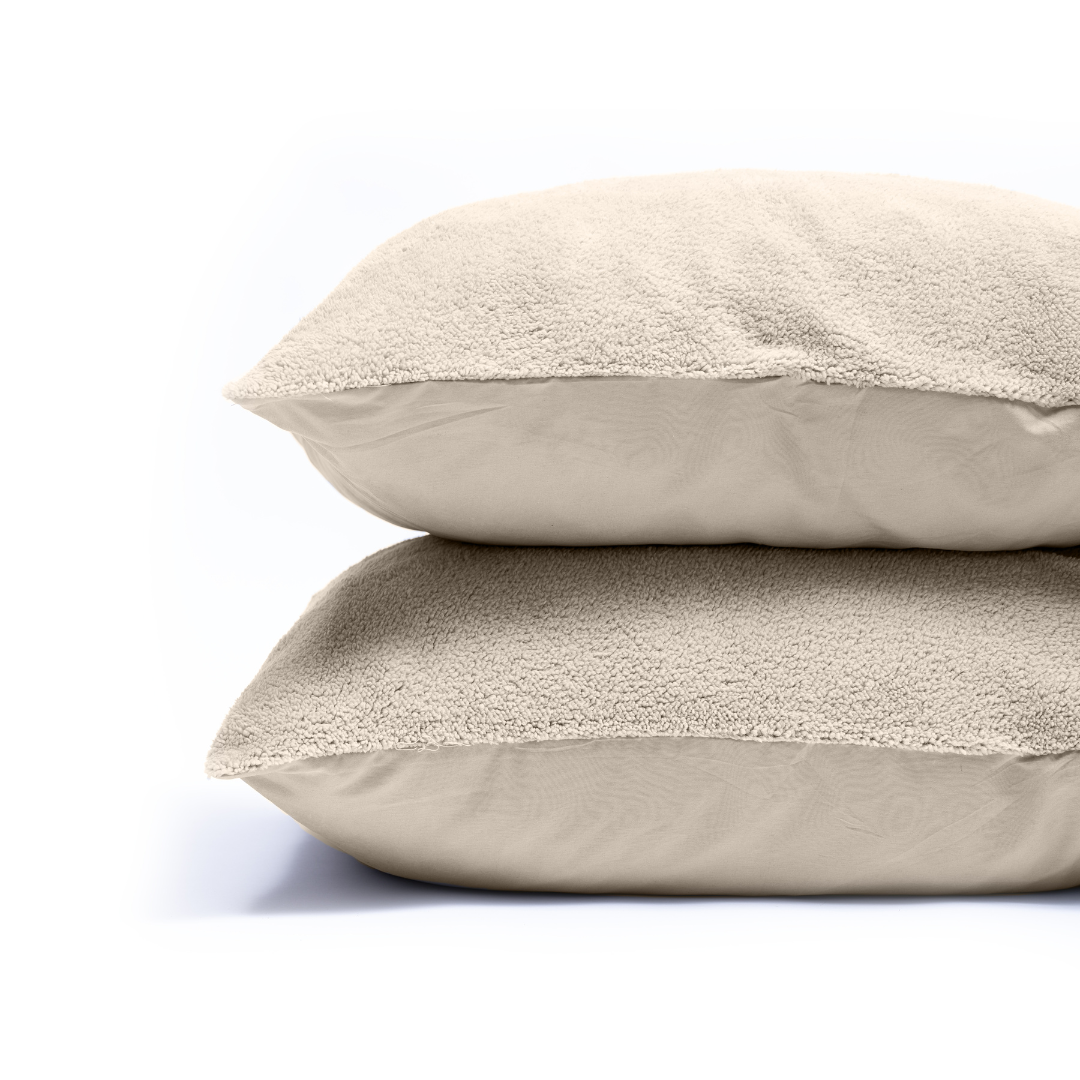 Zelesta Teddy Pillowcase Set Of 2 - Cream
