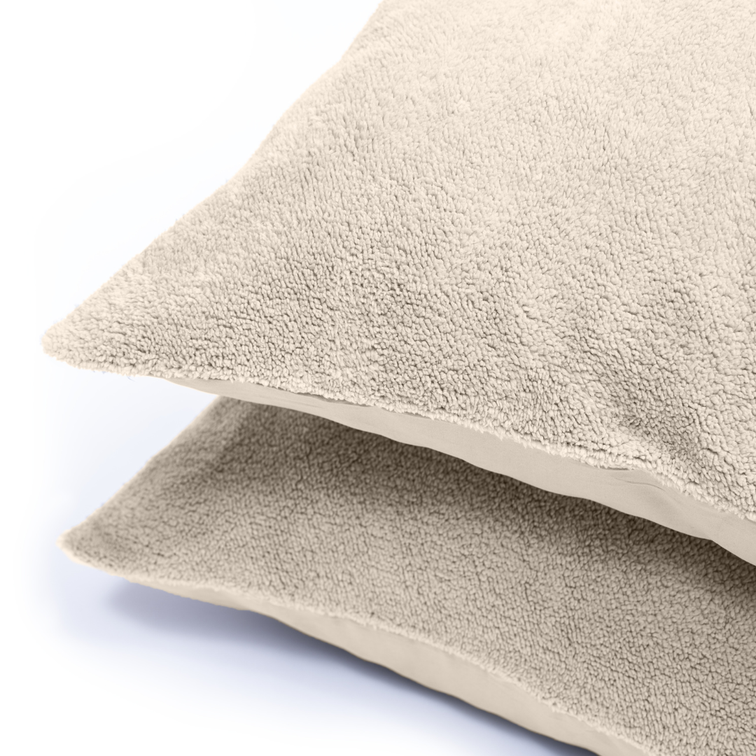 Zelesta Teddy Pillowcase Set Of 2 - Cream