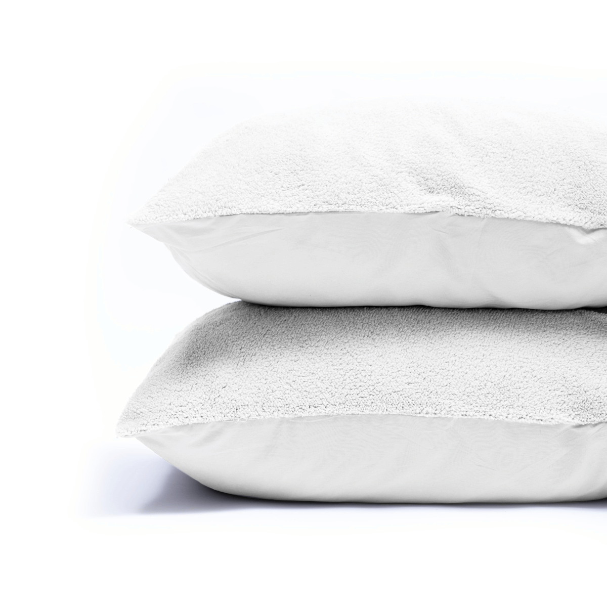 Zelesta Teddy Pillowcase Set Of 2 - White, product view 2