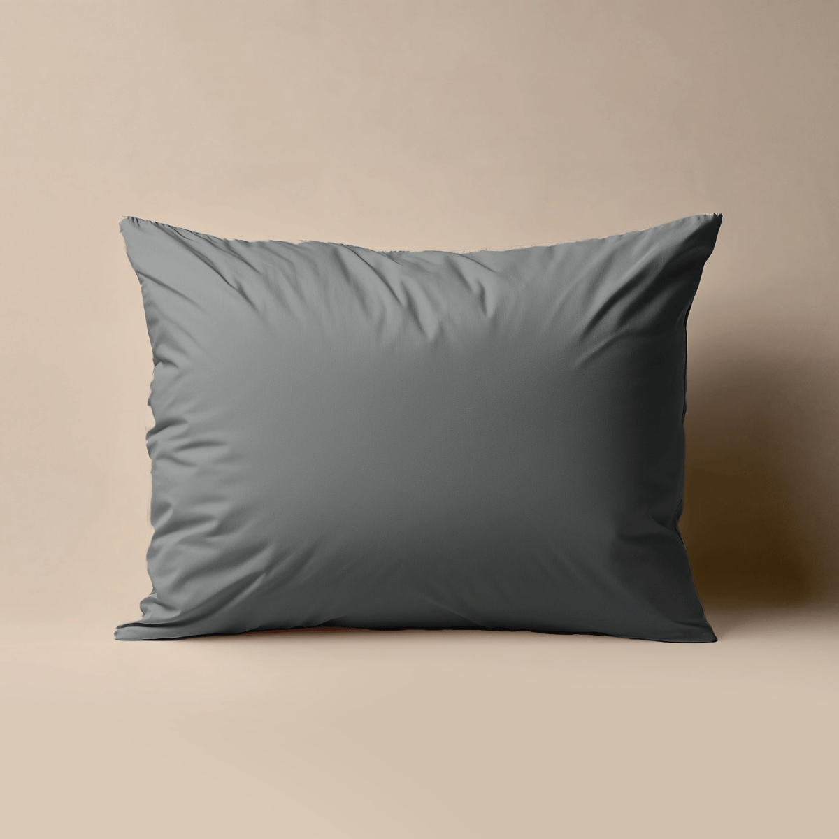 Zelesta Deluxe Percale Cotton Pillowcase Set Of 2 - Anthracite
