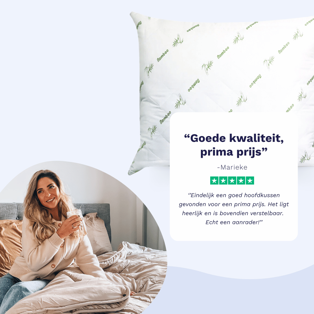 Zelesta Bamboo Pillow 60X70Cm image