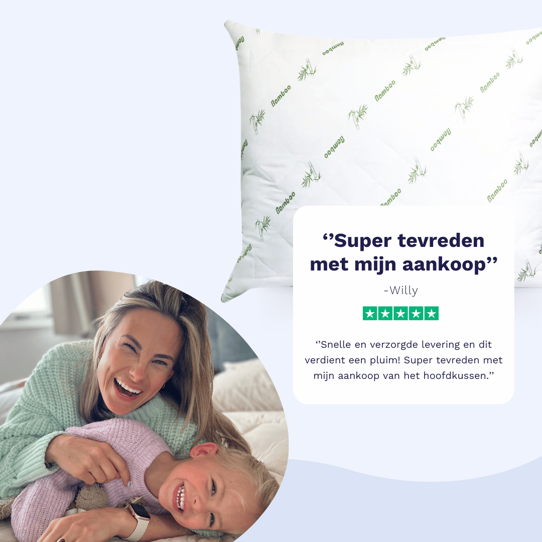 Zelesta Bamboo Pillow 80X80Cm image