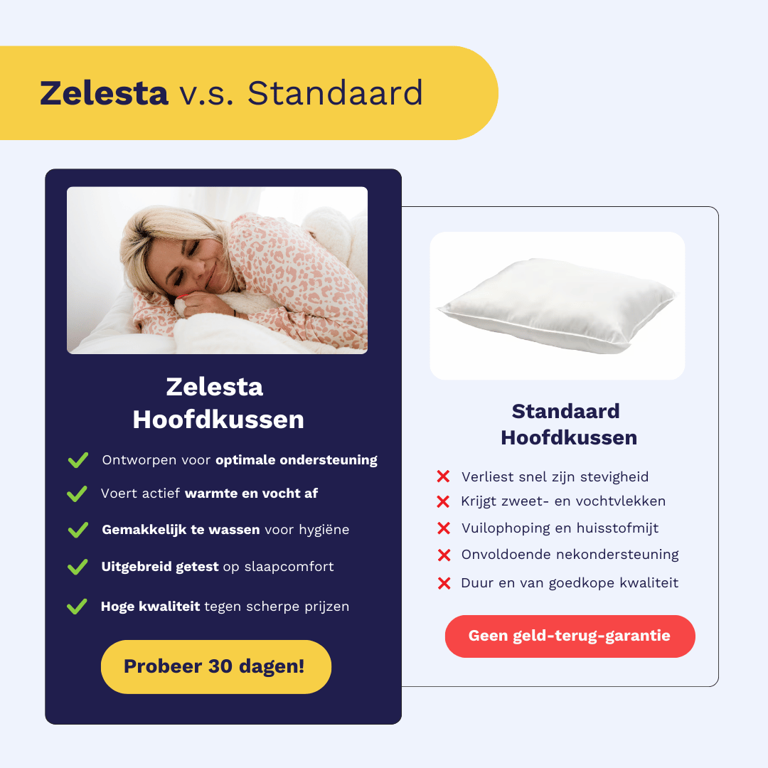 Zelesta Bamboo Pillow 80X80Cm image