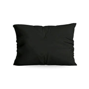 Zelesta Comfort Uni Pillowcases Set Of 2 - Black in Black, laid flat on a white background