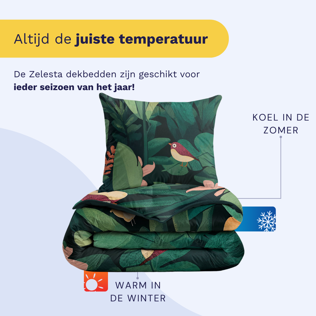 Zelesta Pure Kids Jungle Journey Cotton Duvet in a styled kids bedroom setting