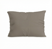 Zelesta Pure Uni Cotton Pillowcase Set Of 2 - Anthracite