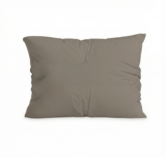 Zelesta Pure Uni Cotton Pillowcase Set Of 2 - Anthracite