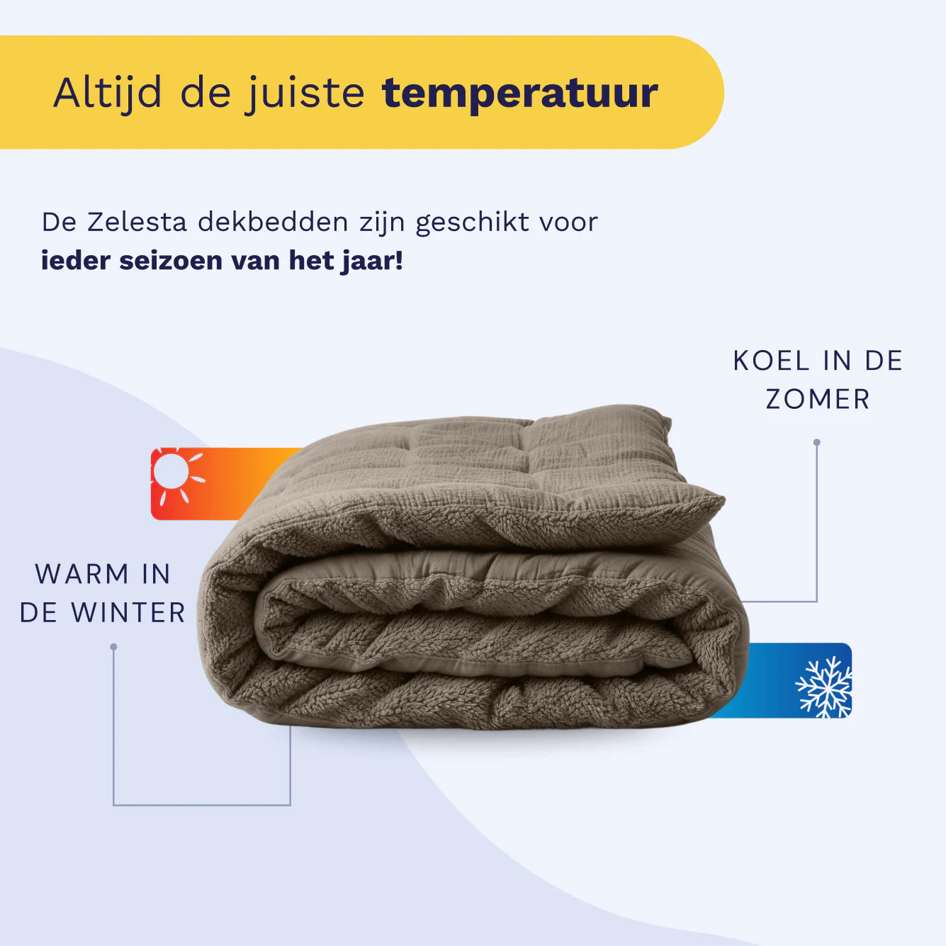 Dutch product infographic for the Zelesta Special Teddy Cotton Muslin Duvet