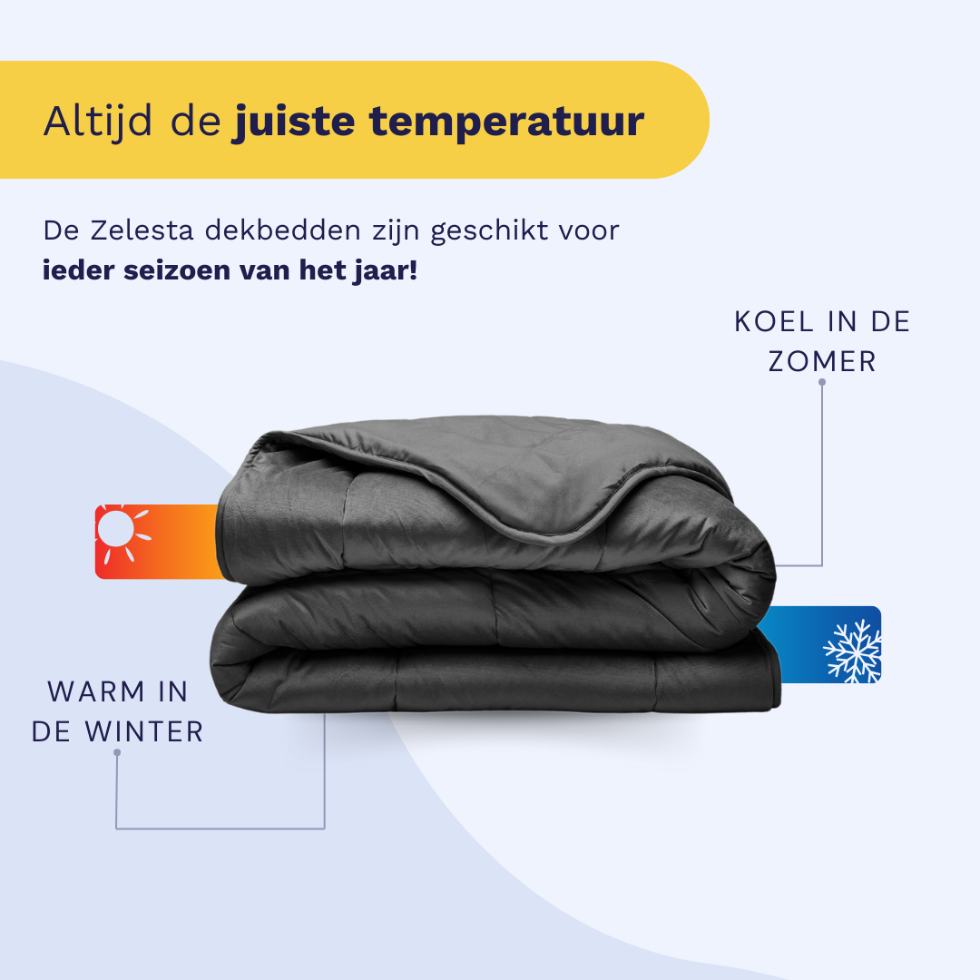 Zelesta Special Velvet Duvet in Anthracite, alternate product view