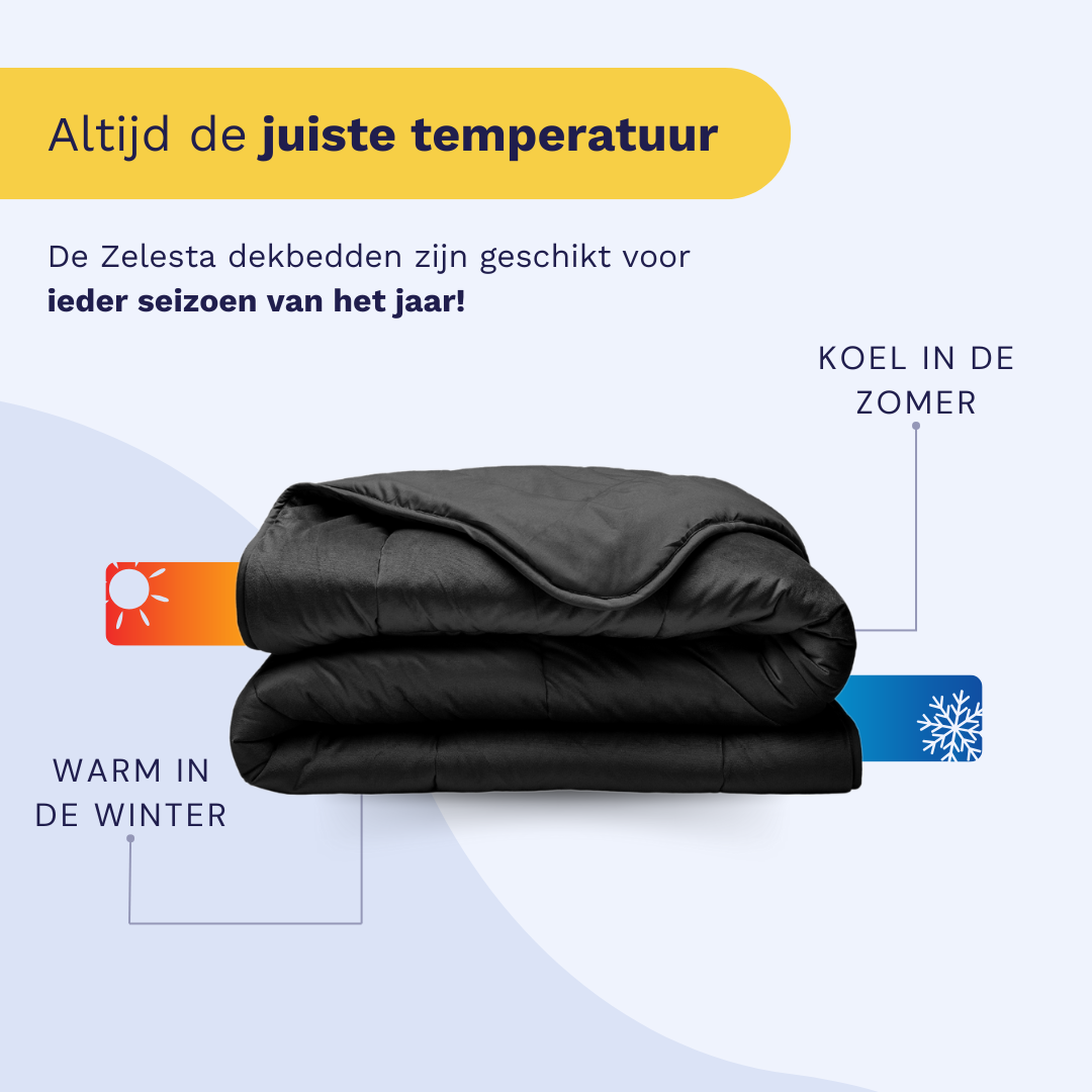 Zelesta Special Velvet Duvet in Black, alternate product view