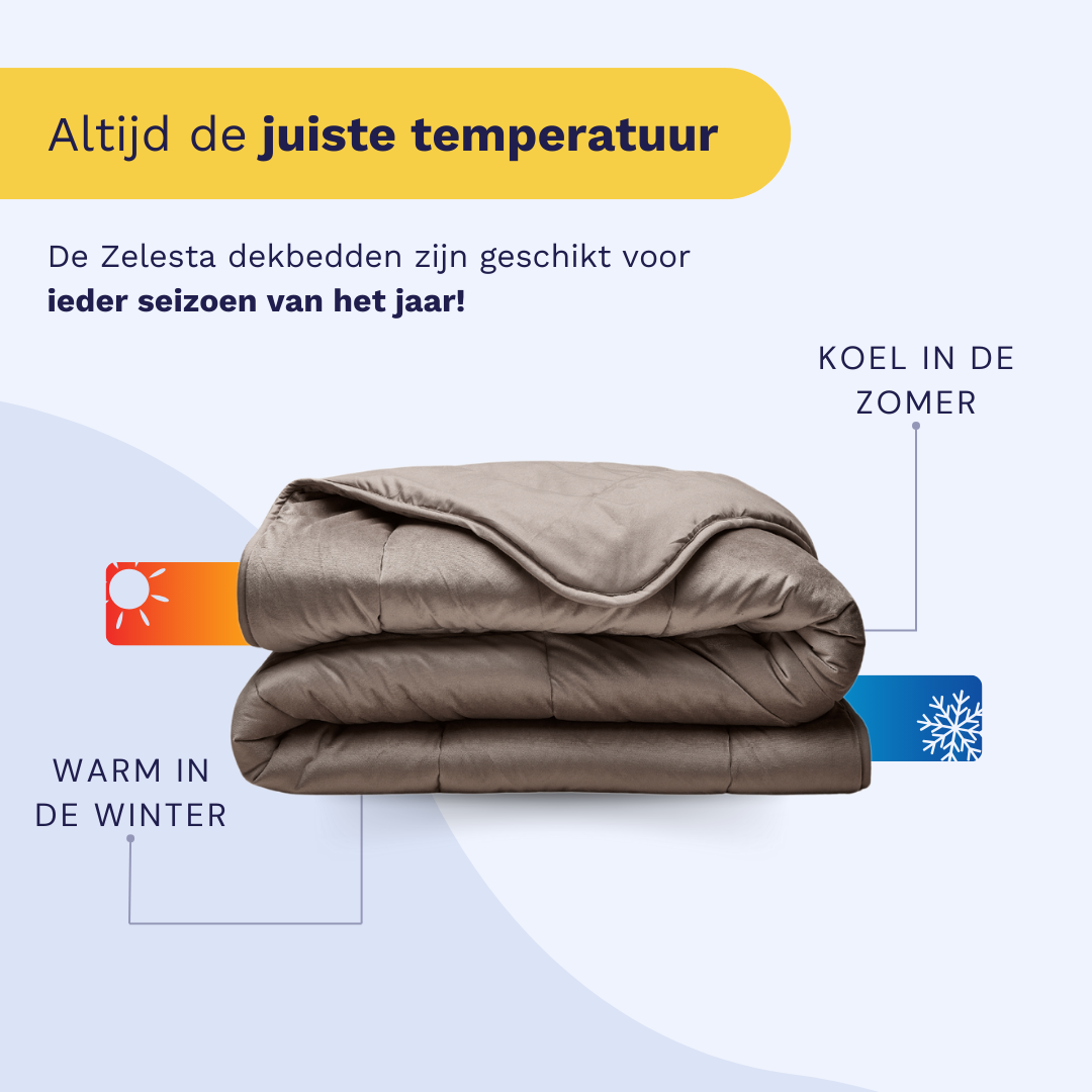 Zelesta Special Velvet Duvet in Taupe, alternate product view