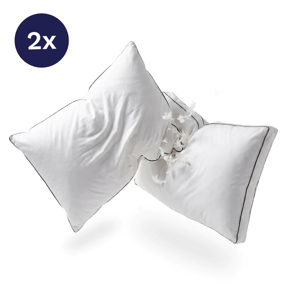 Zelesta Pillow Fight Set Of 2 Pillows