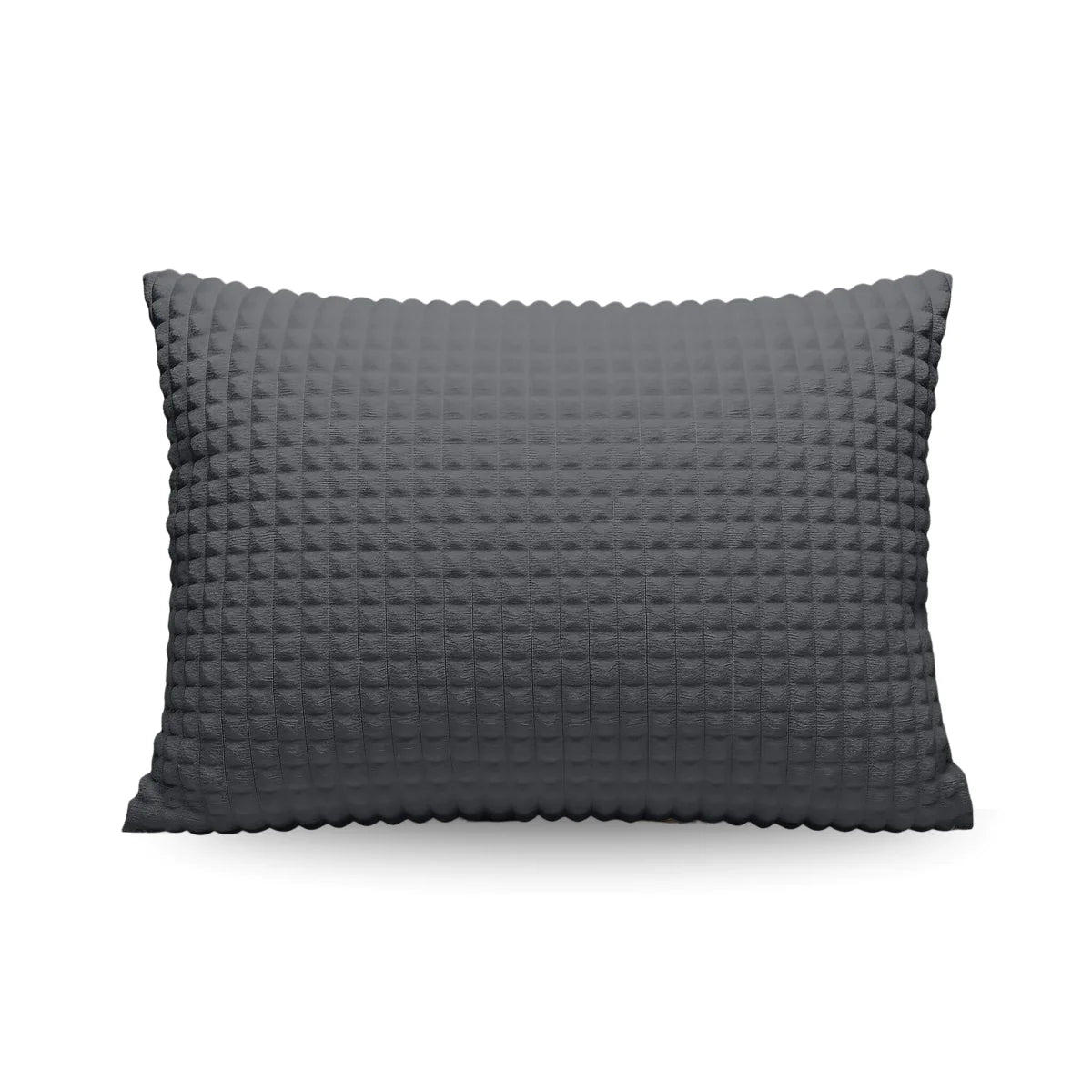 Zelesta Special Teddy Check Pillowcase Set Of 2 - Anthracite
