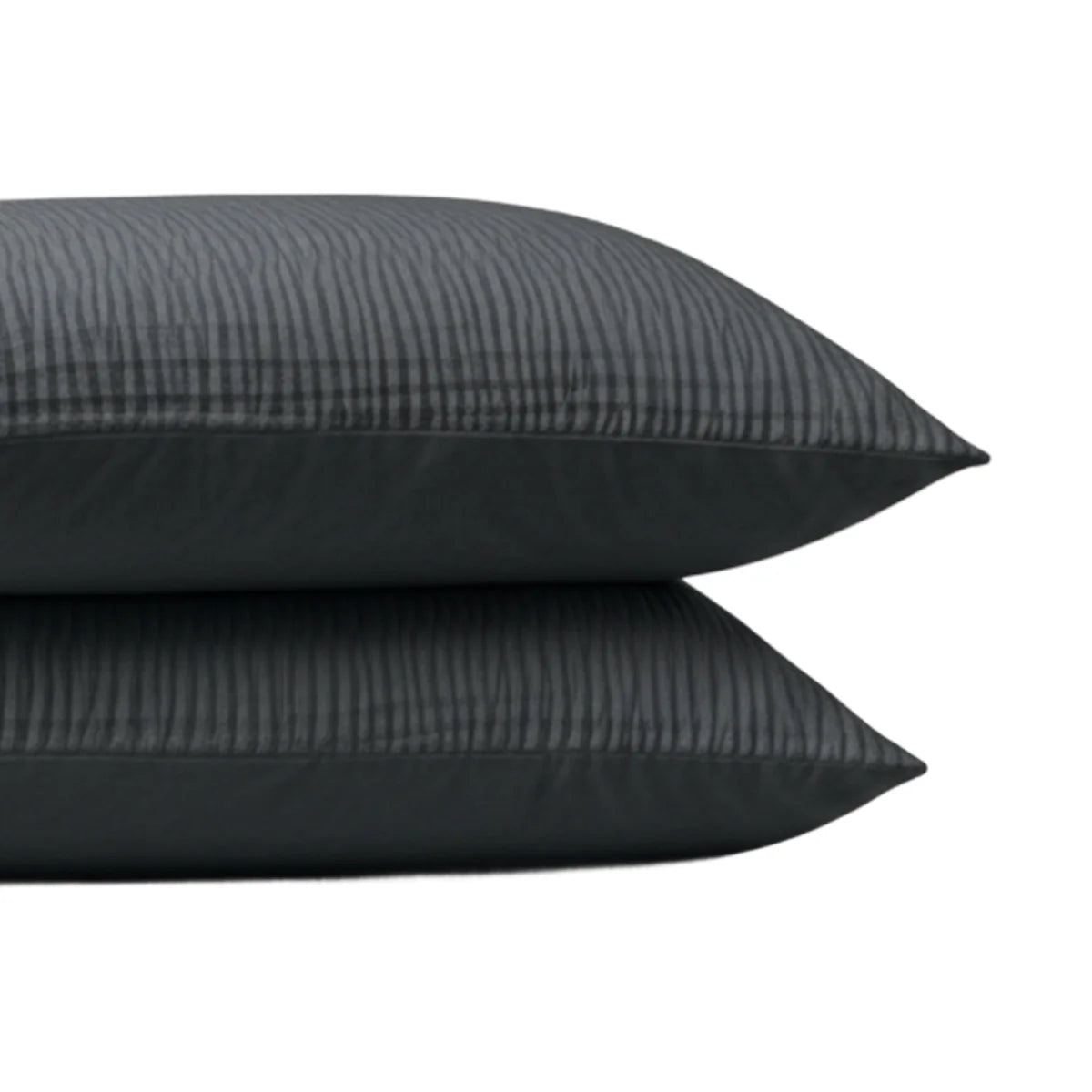 Zelesta Special Velvet Chic Pillowcase Set Of 2 in Anthracite on a white background