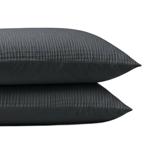 Zelesta Special Velvet Chic Pillowcase Set Of 2 in Anthracite on a white background