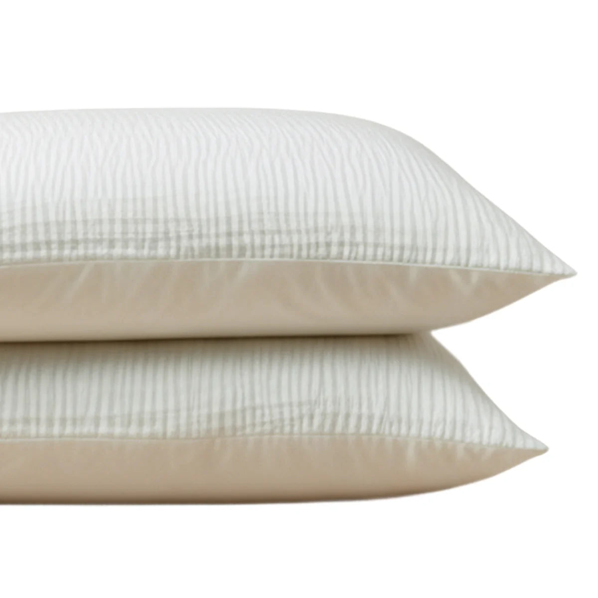 Zelesta Special Velvet Chic Pillowcase Set Of 2 - Beige