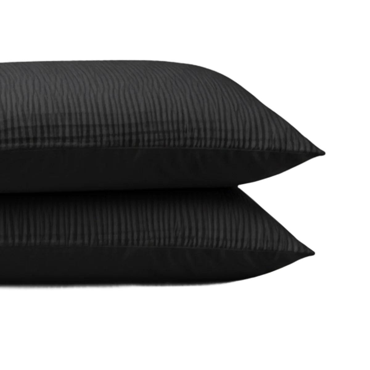 Zelesta Special Velvet Chic Taies d'oreiller Lot de 2 - Noir